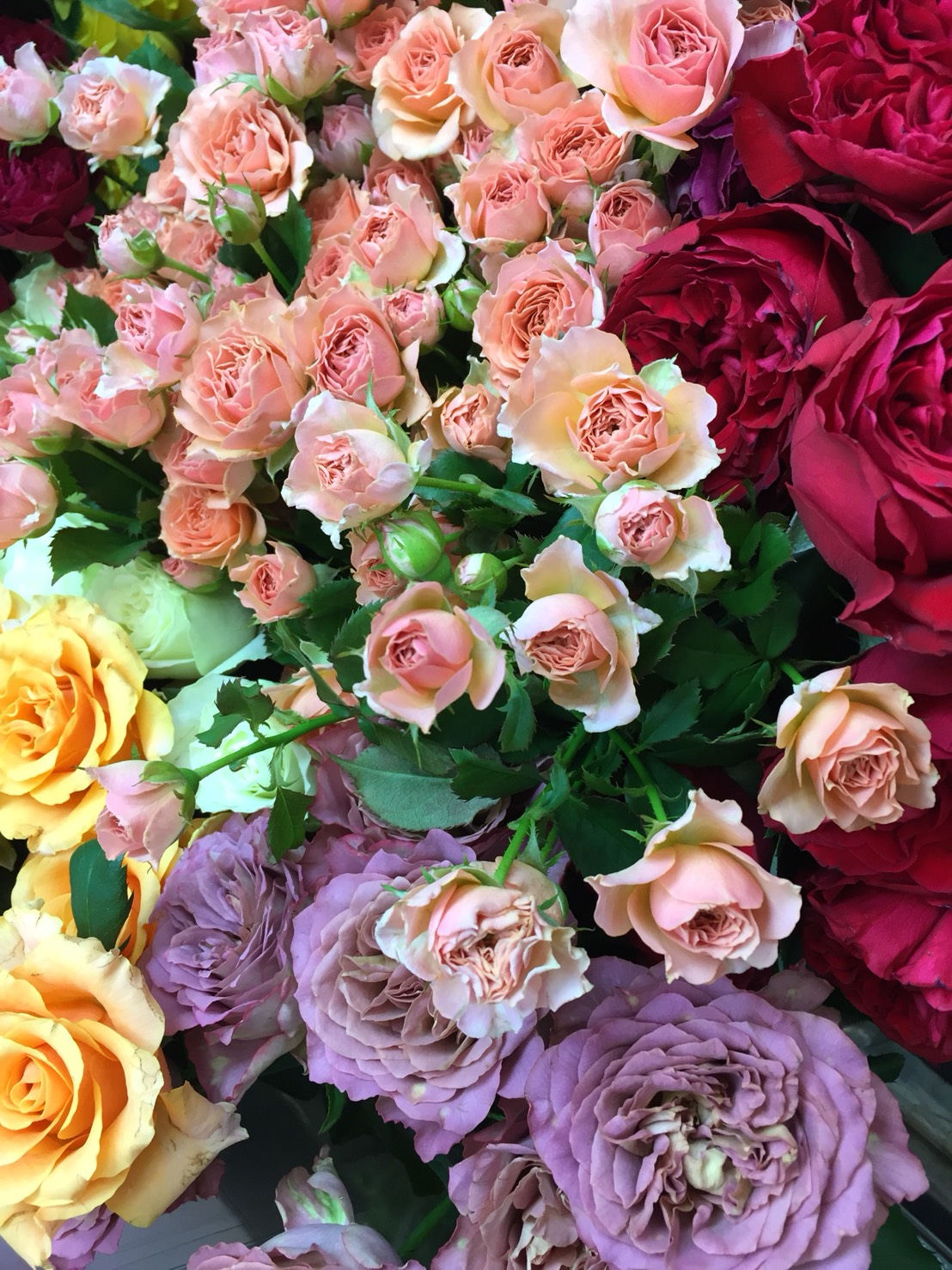 花キューピット