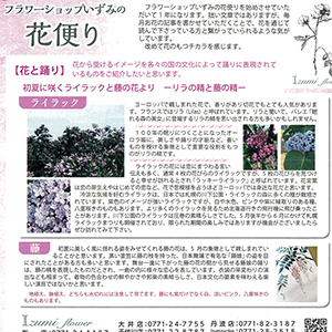 楠新聞『花便り』2024年5月