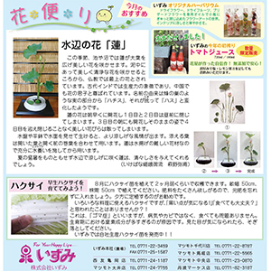 楠新聞『花便り』8月号