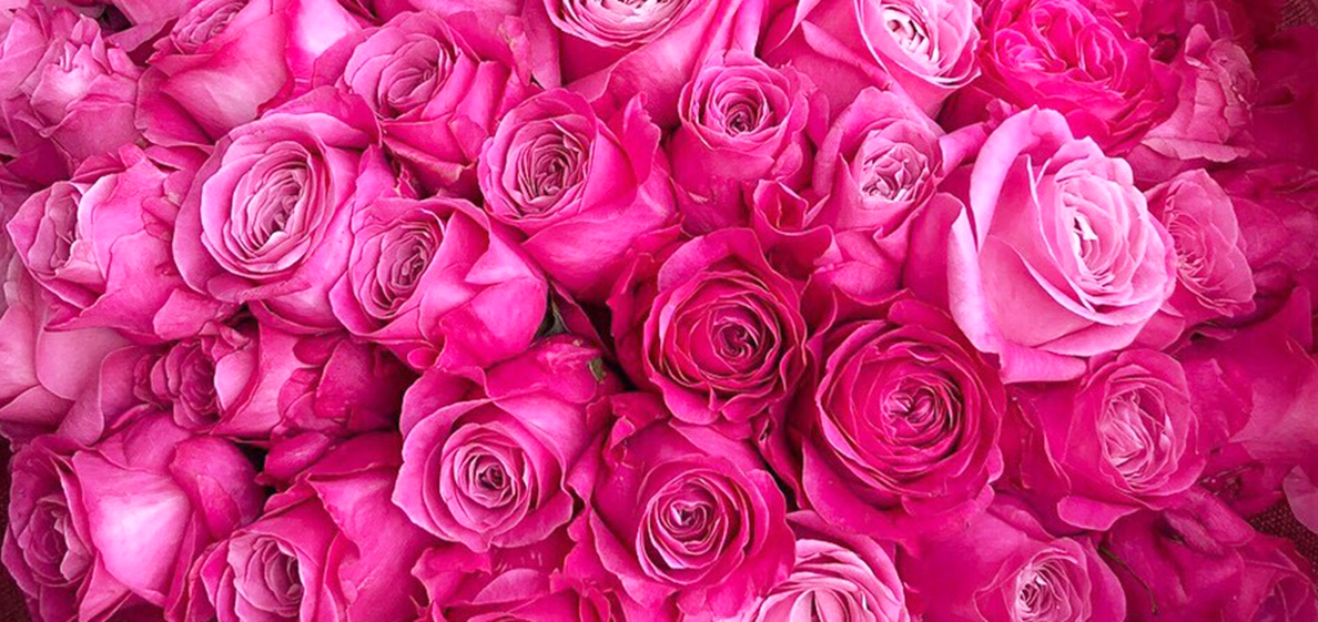 トップイメージ01