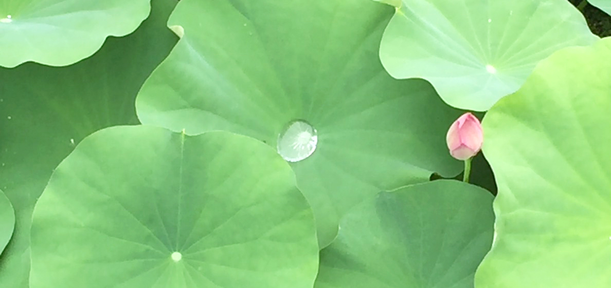 トップイメージ02