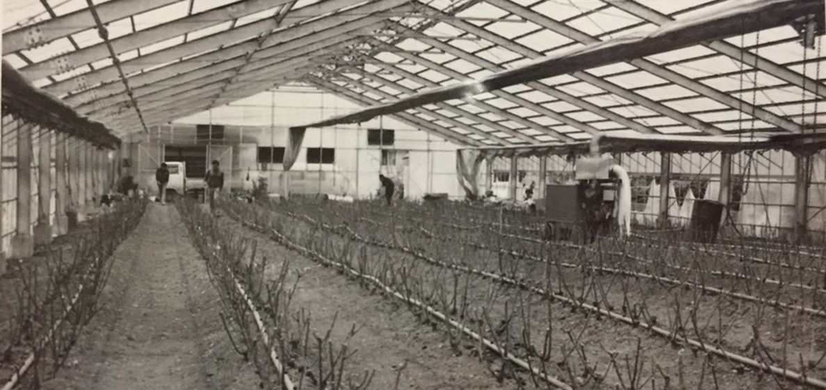 トップイメージ03